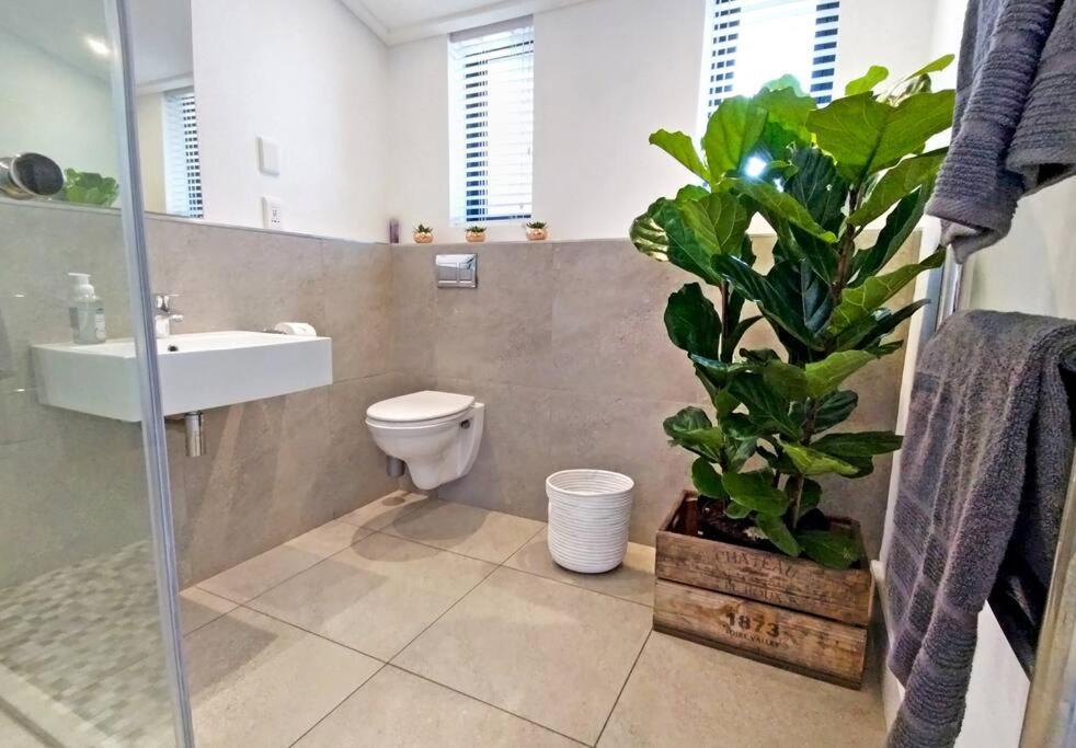 Central Modern Studio Apartment, Hermanus Waterfront المظهر الخارجي الصورة
